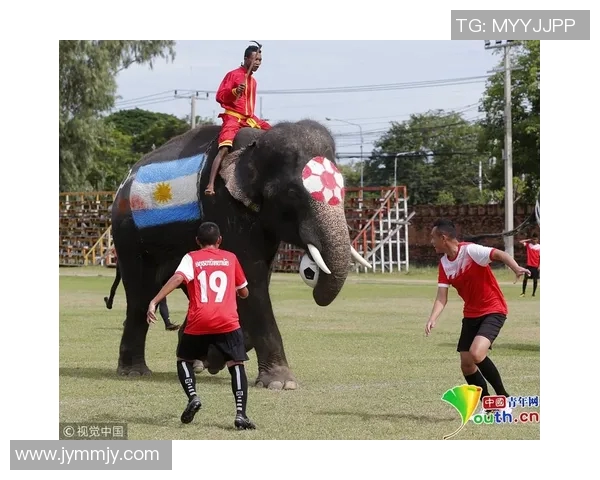 当今足球界最具人气与实力的球星是谁他如何在绿茵场上征服世界 当今足球界最具人气与实力的球星是谁他如何在绿茵场上征服世界